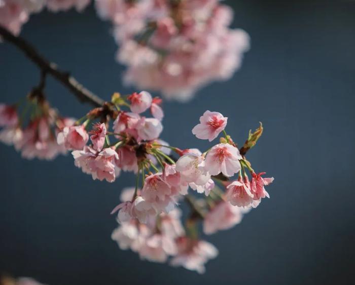 寧波出發(fā)自駕游三天最適合路線_寧波出發(fā)自駕游7天_寧波出發(fā)自駕游5天