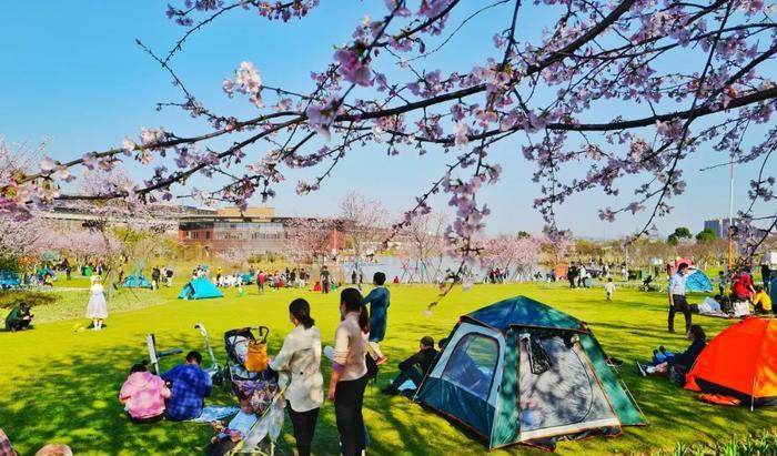 寧波出發(fā)自駕游7天_寧波出發(fā)自駕游三天最適合路線_寧波出發(fā)自駕游5天