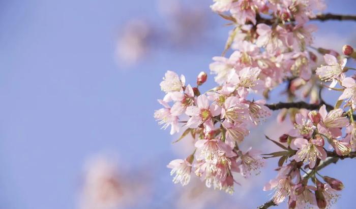 寧波出發(fā)自駕游三天最適合路線_寧波出發(fā)自駕游5天_寧波出發(fā)自駕游7天