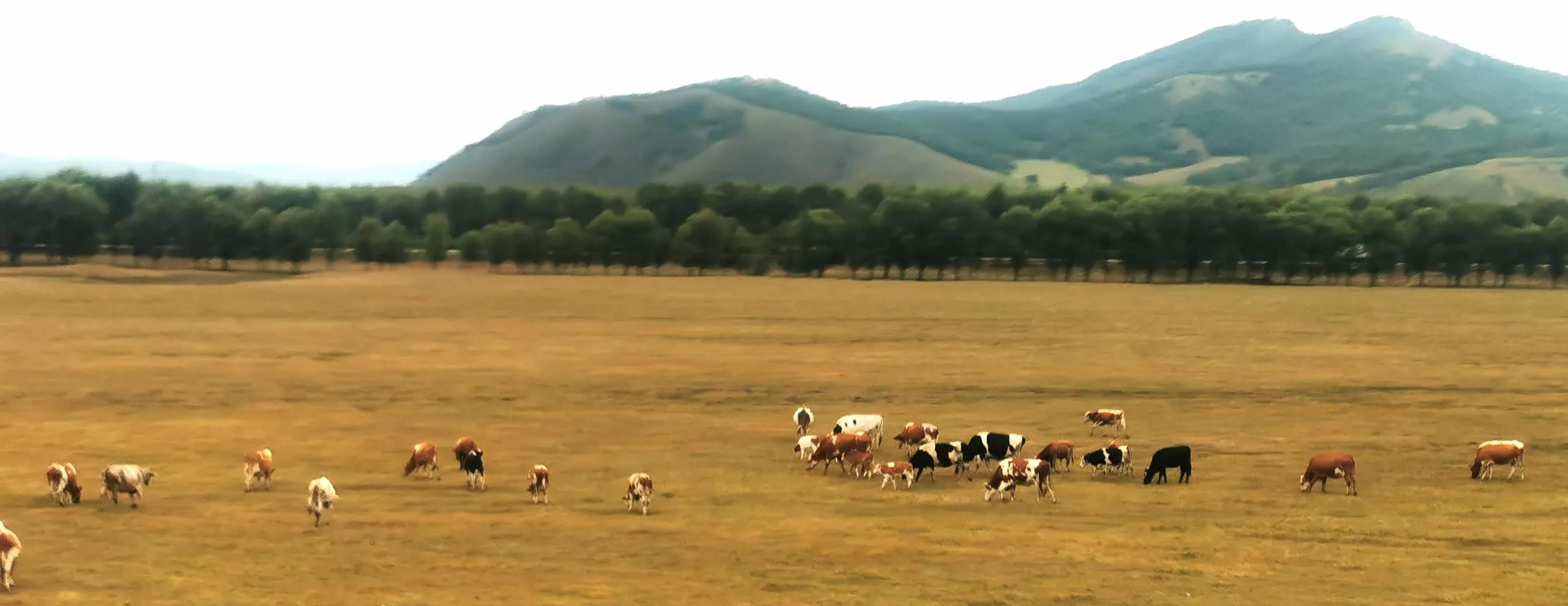 天津到秦皇島火車_秦皇島到天津火車多久_秦皇島到天津坐火車幾個小時
