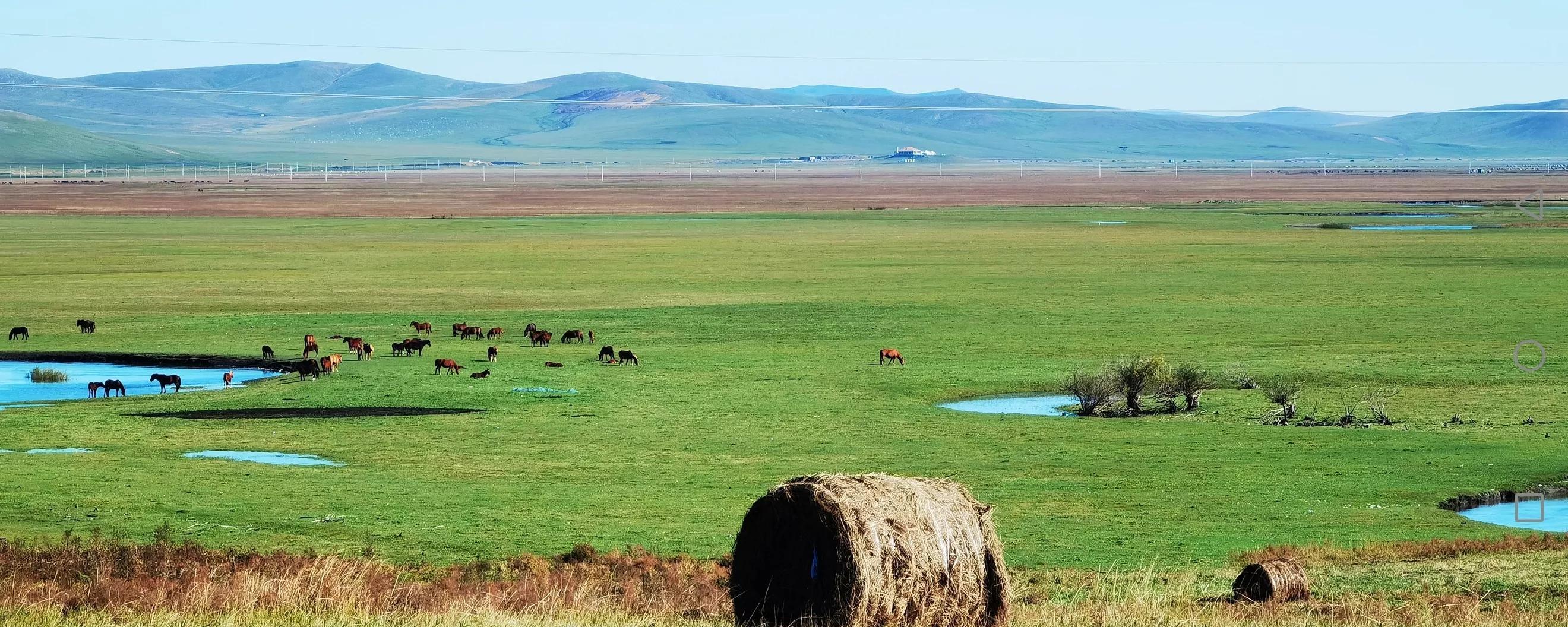 天津到秦皇島火車_秦皇島到天津火車多久_秦皇島到天津坐火車幾個小時