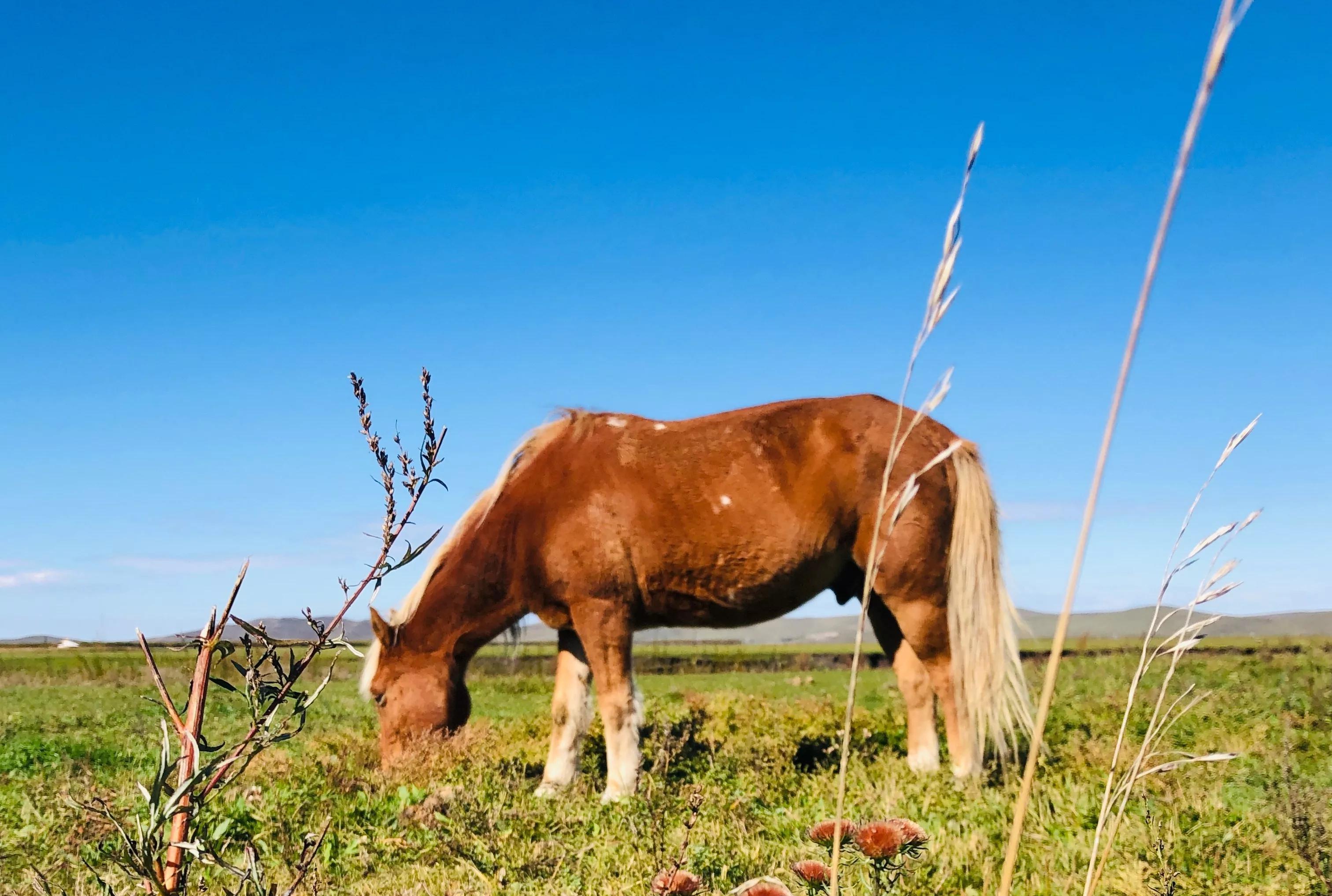秦皇島到天津坐火車幾個小時_天津到秦皇島火車_秦皇島到天津火車多久