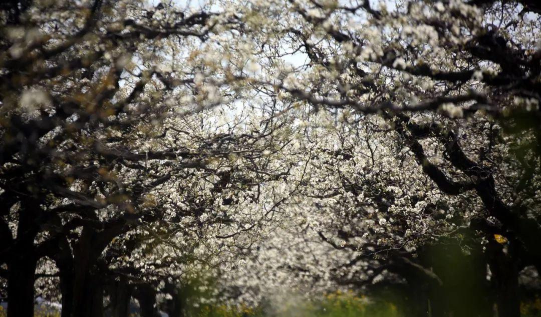 商丘到揚(yáng)州自駕游_揚(yáng)州到商丘路過哪些城市_揚(yáng)州自駕商丘游到上海路線