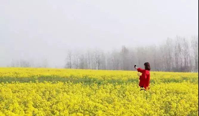 揚(yáng)州到商丘路過哪些城市_揚(yáng)州自駕商丘游到上海路線_商丘到揚(yáng)州自駕游