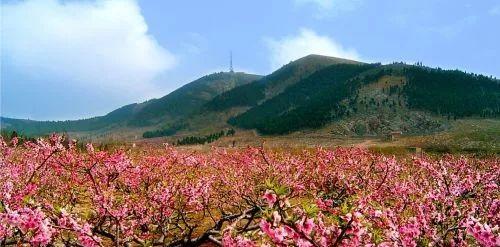 揚(yáng)州到商丘路過哪些城市_揚(yáng)州自駕商丘游到上海路線_商丘到揚(yáng)州自駕游