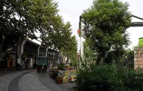 自駕西塘古鎮旅游攻略_杭州到西塘自駕游_西塘自駕游兩天一夜攻略