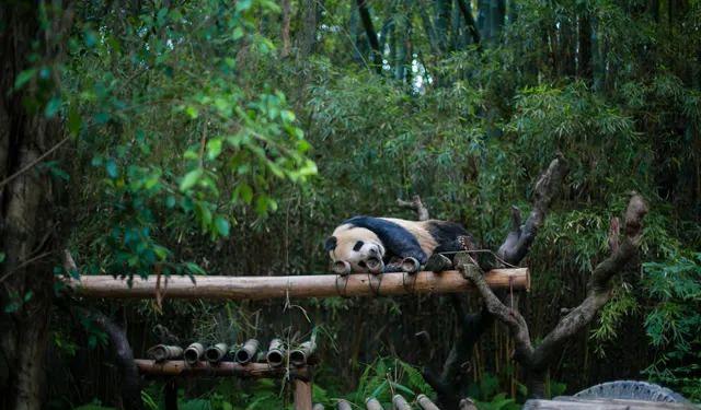 好玩景點旅游攻略_最好玩的旅游景點_好玩景點旅游有哪些