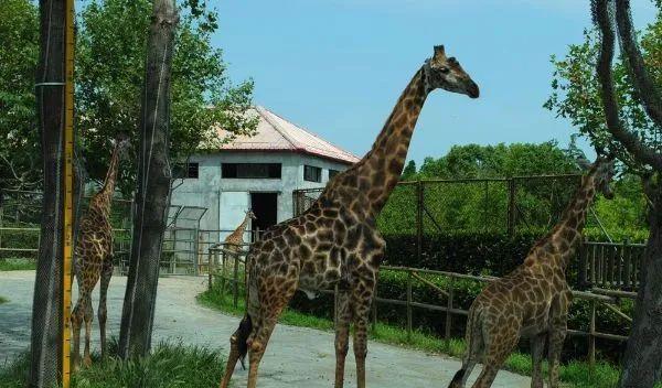 好玩景點旅游攻略_最好玩的旅游景點_好玩得旅游景點