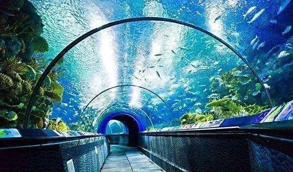 好玩景點旅游攻略_最好玩的旅游景點_好玩得旅游景點