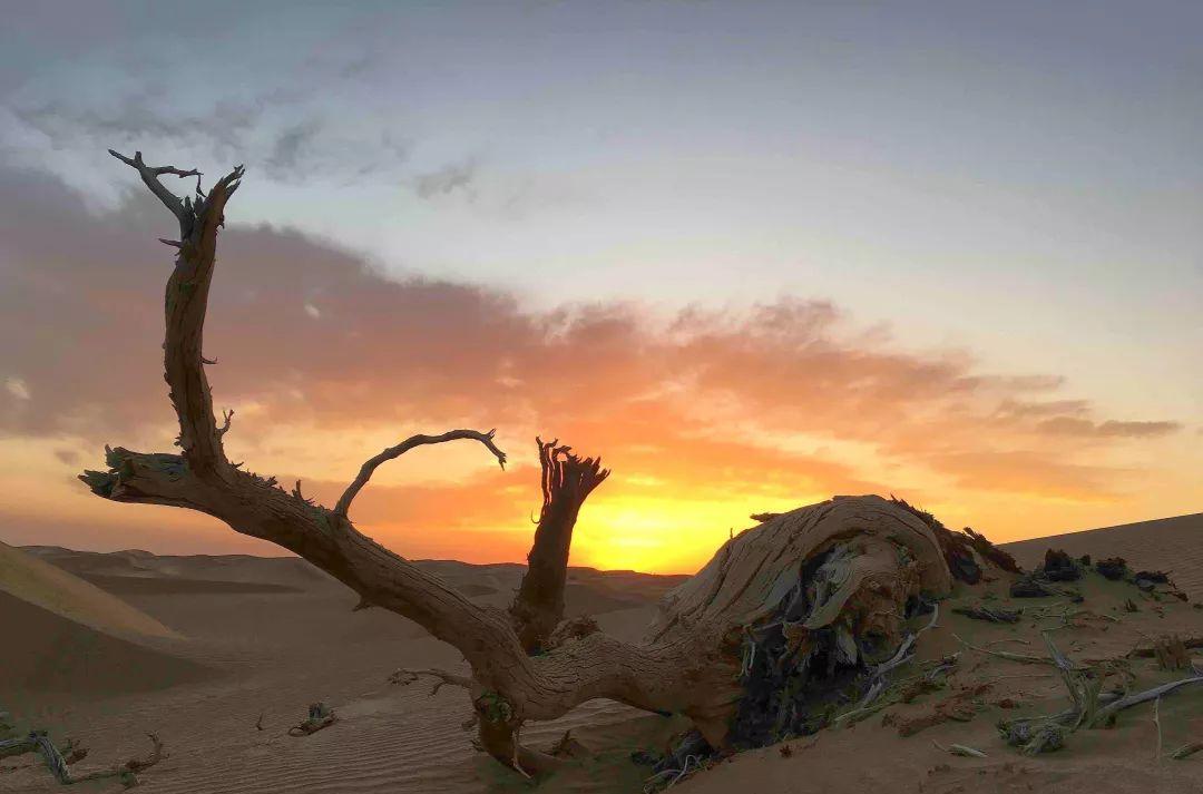 途樂自駕游記視頻_自駕游途樂進藏視頻_途樂自駕游論壇