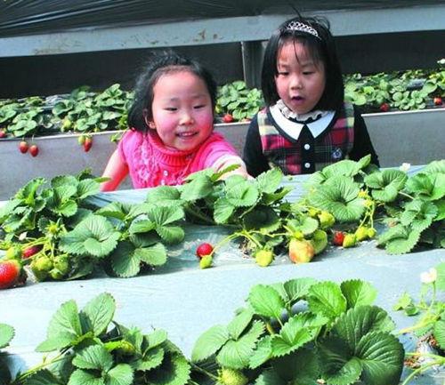 自駕游野餐_自駕游野餐什么炊具好_自駕野餐需要注意什么