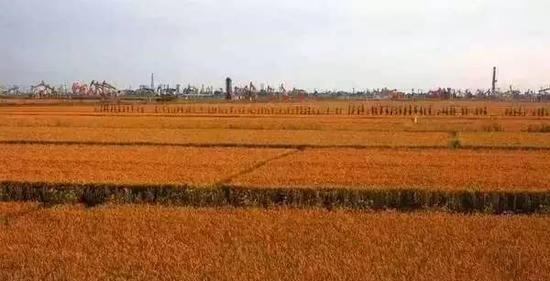 鞍山自駕游景點_鞍山自駕游攻略_鞍山自駕一日游