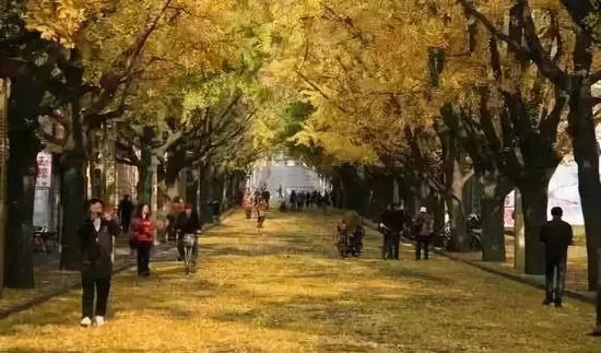 鞍山自駕一日游_鞍山自駕游景點_鞍山自駕游攻略