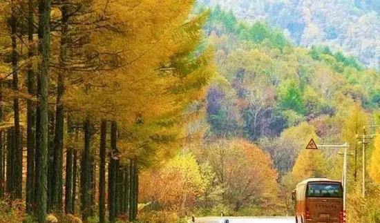 鞍山自駕一日游_鞍山自駕游攻略_鞍山自駕游景點