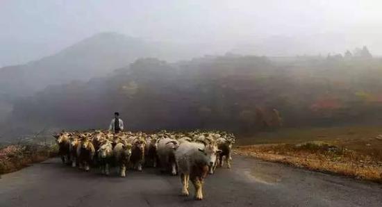 鞍山自駕游景點_鞍山自駕游攻略_鞍山自駕一日游