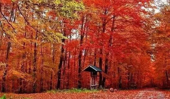 鞍山自駕游景點_鞍山自駕一日游_鞍山自駕游攻略