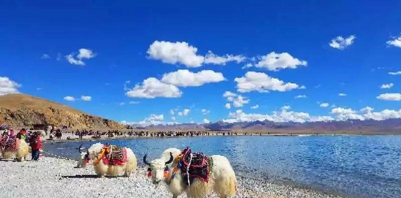 蘭州出發(fā)自駕游路線_蘭州自駕_蘭州自駕出發(fā)路線游玩攻略