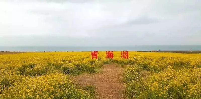 蘭州自駕出發(fā)路線游玩攻略_蘭州自駕_蘭州出發(fā)自駕游路線