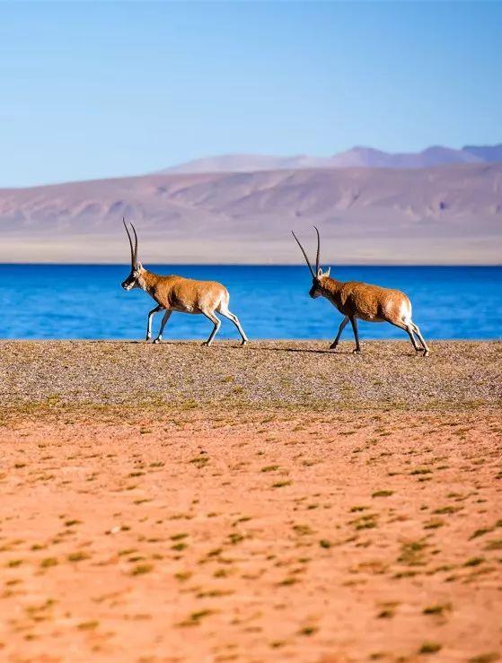 蘭州自駕出發(fā)路線游玩攻略_蘭州自駕_蘭州出發(fā)自駕游路線