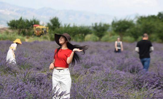霍城旅游地圖_霍城旅游全部景點_霍城旅游