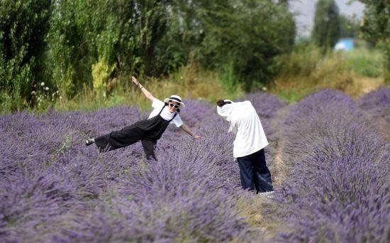 霍城旅游地圖_霍城旅游全部景點_霍城旅游