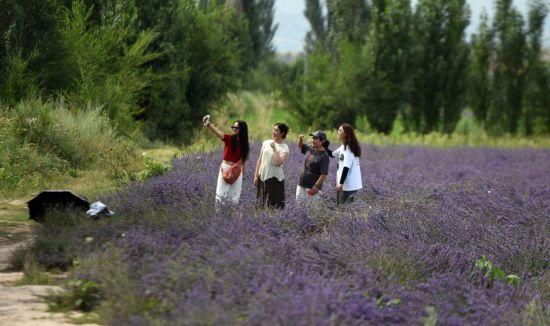 霍城旅游地圖_霍城旅游_霍城旅游全部景點