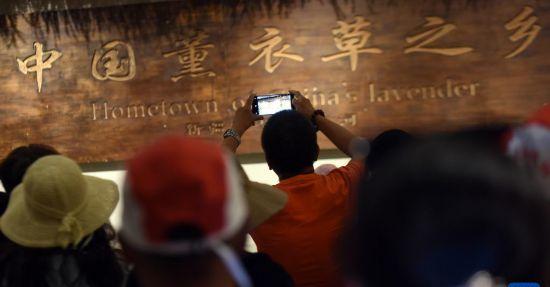 霍城旅游全部景點_霍城旅游地圖_霍城旅游