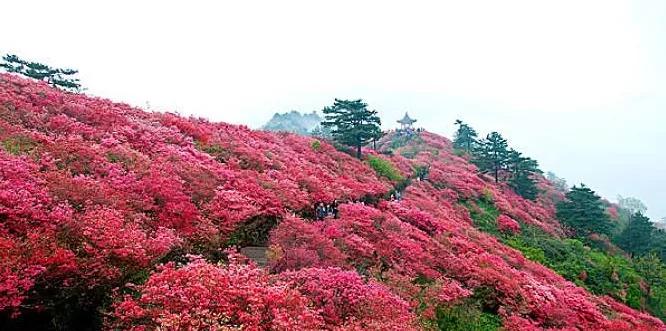 鄭州附近旅游推薦_鄭州附近旅游_鄭州附近旅游景點排名前十