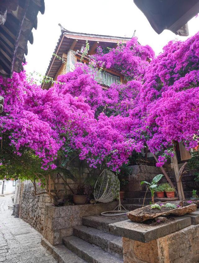麗江:受上天寵愛(ài)之地,古城韻味與玉龍雪山的壯麗