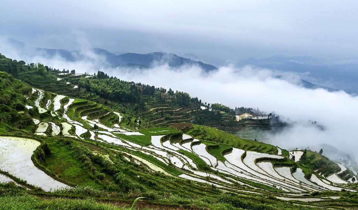 永嘉茗岙梯田自駕游_永嘉茗岙梯田游記_麗水永嘉茗岙景區