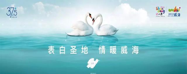 威海天鵝湖攻略_威海天鵝湖自駕游_威海天鵝湖要門票嗎
