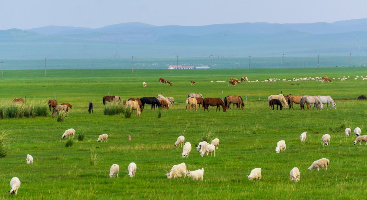 赤峰自己燒烤_赤峰自駕游燒烤_赤峰周邊燒烤露營