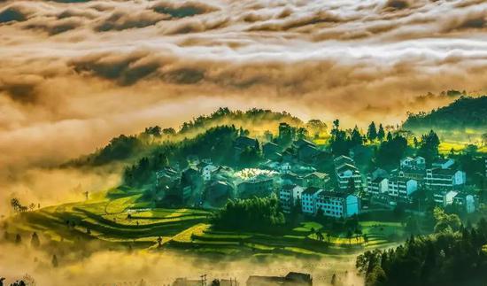 永嘉茗岙梯田天氣預報_永嘉茗岙梯田自駕游_麗水永嘉茗岙景區