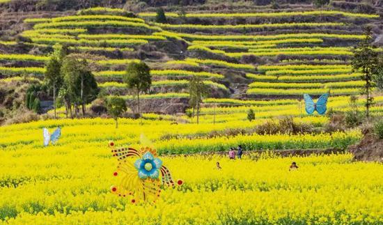 永嘉茗岙梯田自駕游_麗水永嘉茗岙景區_永嘉茗岙梯田天氣預報
