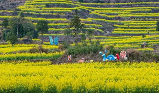 永嘉茗岙梯田天氣預報_麗水永嘉茗岙景區_永嘉茗岙梯田自駕游