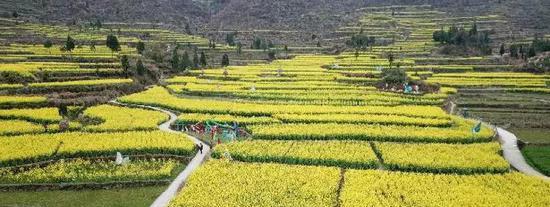 永嘉茗岙梯田自駕游_麗水永嘉茗岙景區_永嘉茗岙梯田天氣預報