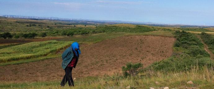 新鄉(xiāng)到豐寧壩上草原_距離新鄉(xiāng)最近的草原_新鄉(xiāng)到壩上草原自駕游