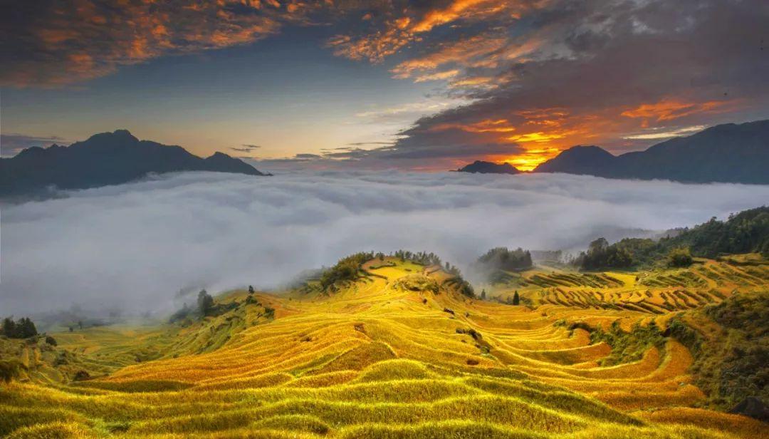 永嘉茗岙梯田自駕游_永嘉茗岙農家樂_永嘉茗岙梯田天氣預報