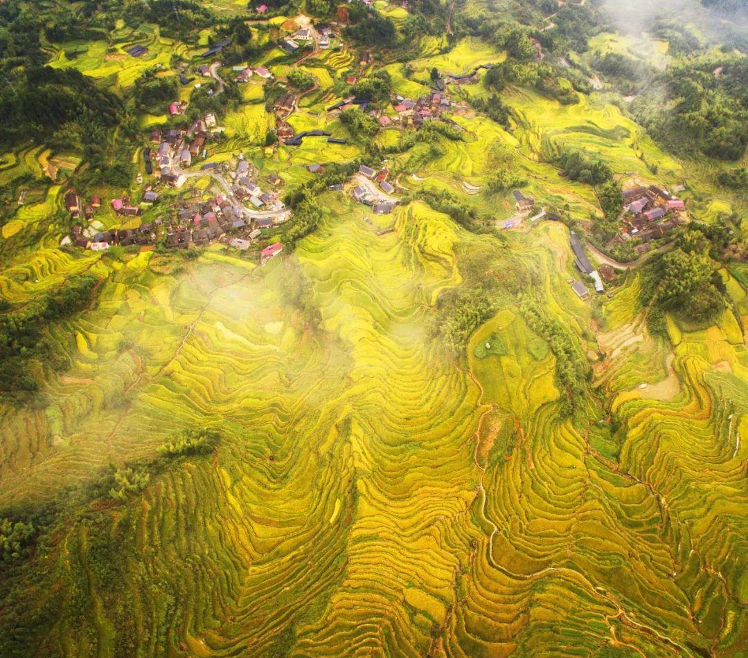 永嘉茗岙梯田自駕游_永嘉茗岙農家樂_永嘉茗岙梯田天氣預報