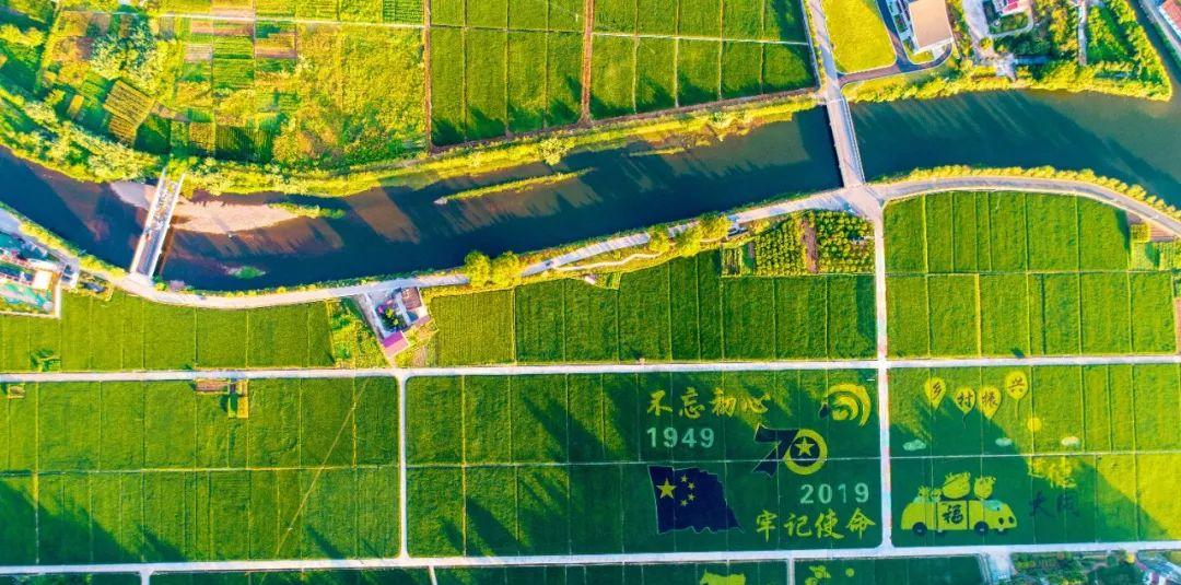 永嘉茗岙梯田天氣預報_永嘉茗岙農家樂_永嘉茗岙梯田自駕游