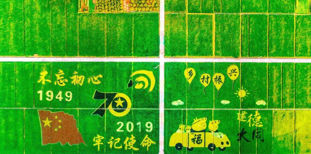 永嘉茗岙梯田天氣預報_永嘉茗岙梯田自駕游_永嘉茗岙農家樂