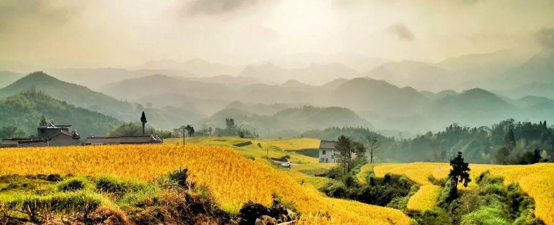 永嘉茗岙梯田自駕游_永嘉茗岙梯田天氣預報_永嘉茗岙農家樂