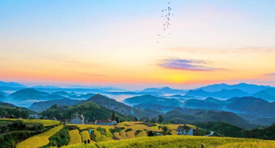 永嘉茗岙農家樂_永嘉茗岙梯田天氣預報_永嘉茗岙梯田自駕游