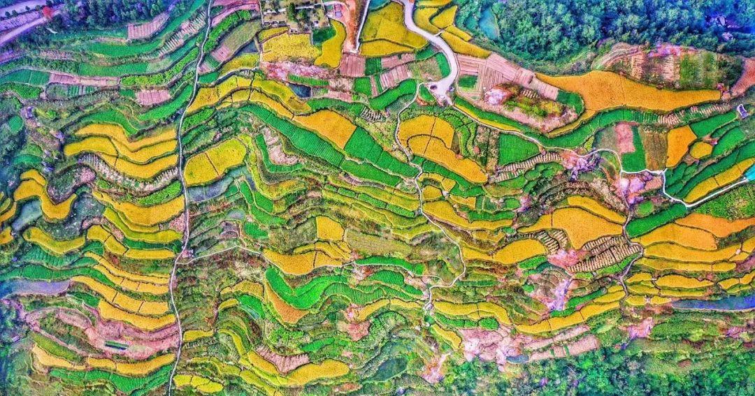 永嘉茗岙梯田天氣預報_永嘉茗岙梯田自駕游_永嘉茗岙農家樂