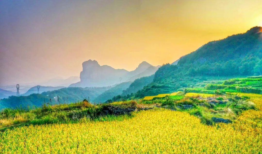 永嘉茗岙梯田天氣預報_永嘉茗岙農家樂_永嘉茗岙梯田自駕游