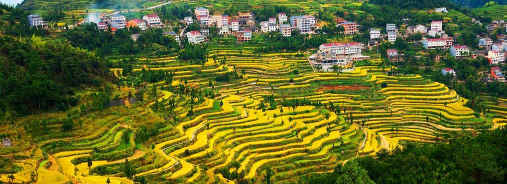 永嘉茗岙梯田自駕游_永嘉茗岙梯田天氣預報_永嘉茗岙農家樂
