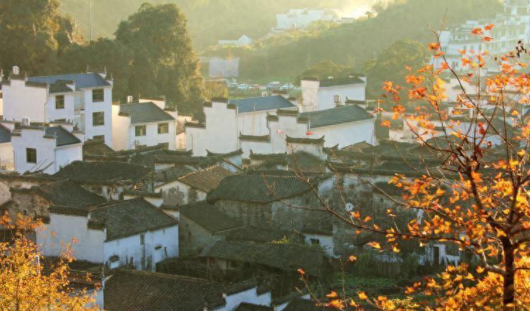 婺源冬季旅游_冬季婺源旅游攻略_婺源冬天旅游