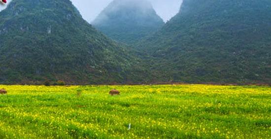 一次有趣的春游作文(15篇)