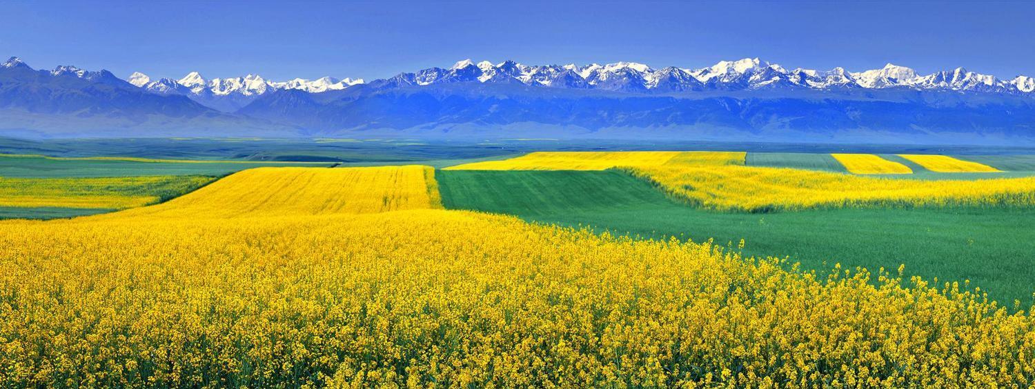 環塔線路_環塔自駕游_環塔路線圖