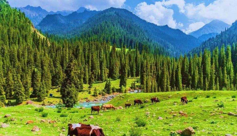 環塔線路_環塔路線圖_環塔自駕游